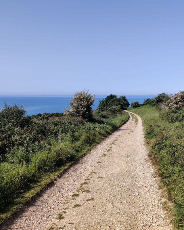 View of a gravel track stretching off into the distance with the blue sea shimmering in the background.