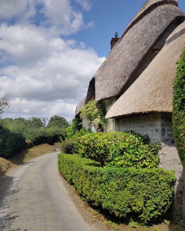 A row of thatched cottages along a country lane.