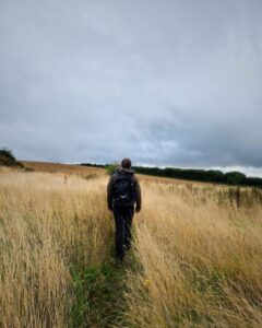 A single walker hiking through a footpath in a field of tall yellow grasses.