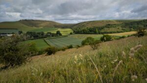 View of chalk downs with long grass in the foreground