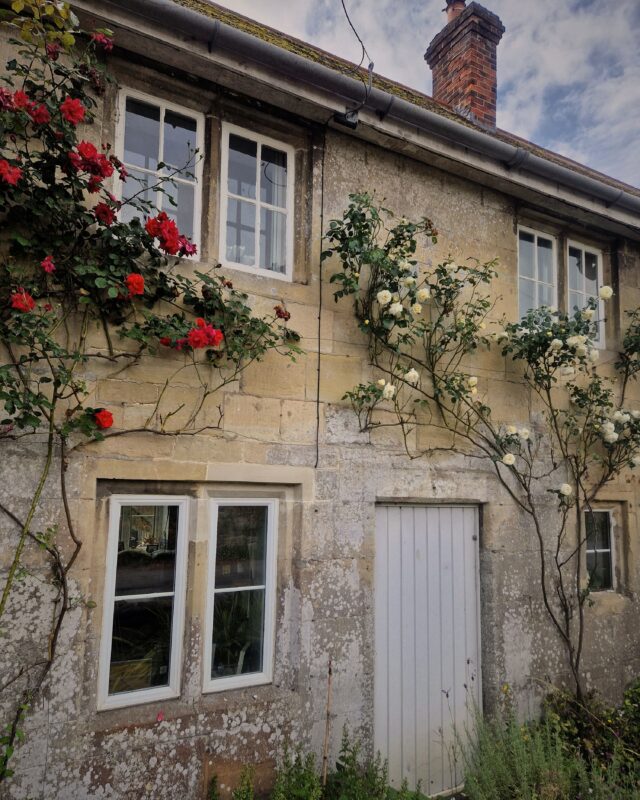 View of the front of a cottage with red and white roses climbing over the door