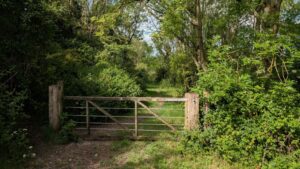 Photo of a five-bar gate surrounded by trees