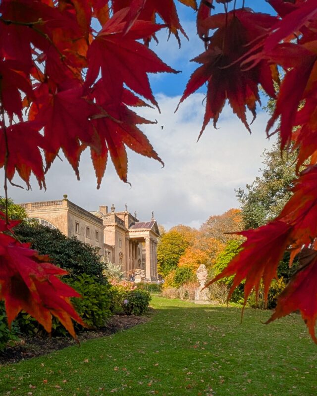 Red Acer leaves frame a view across a long lawn to a grand country house.