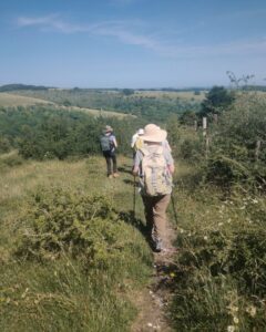 Photo of a group of hikers from behind walking along a footpath in a field with hedges and shrubs to the right and in front.