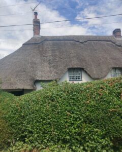 The roof and upper windows of a thatched cottage peek up above a hedge.