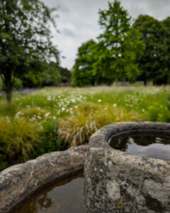 An old stone fountain with still water; behind this, a field of trees and flowers stretching off into the distance behind.