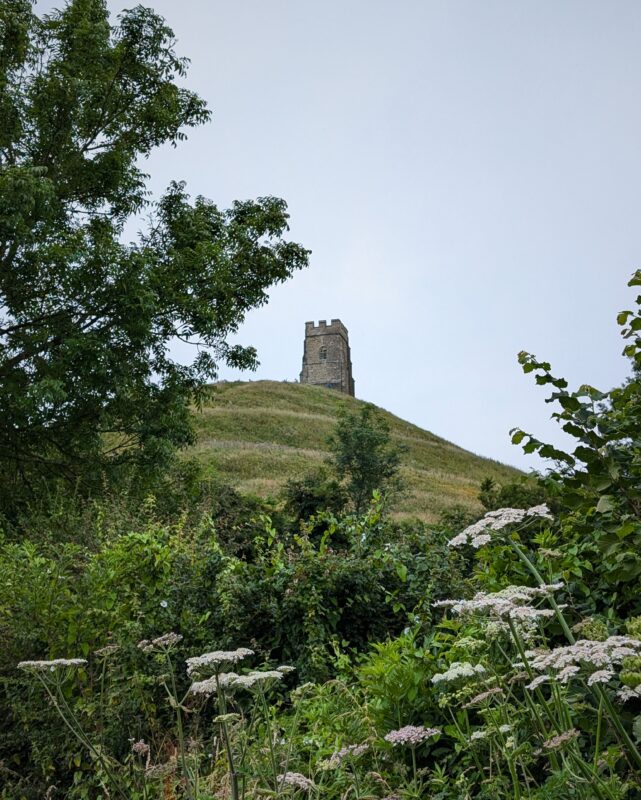View of Glastonbury Tot and its ruined church tower from a distance with hedges and cow parsley in the foreground