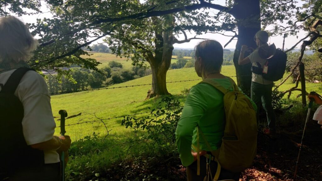 A group of hikers pausing at the edge of a woodland to look out at the view.