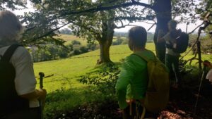A group of hikers pausing at the edge of a woodland to look out at the view.