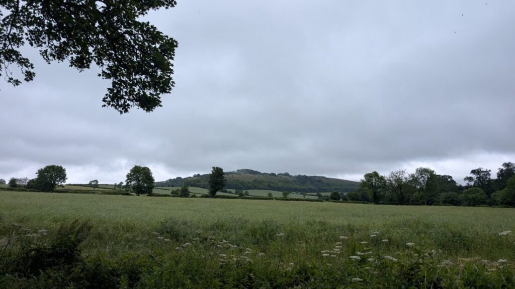 View over a field to a distant hill with a grey, overcast sky.
