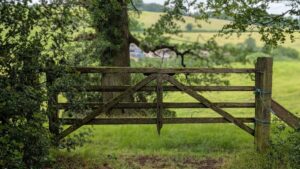 A five-bar wooden gate leading to a field with a tree trunk in the distance behind it.