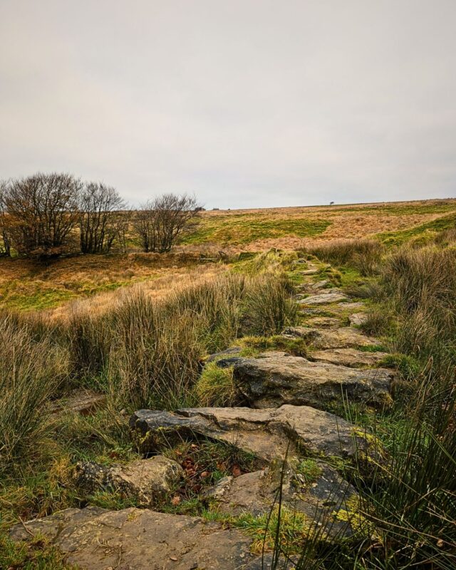 An old stone footpath curves off into the distance over moorland in November.