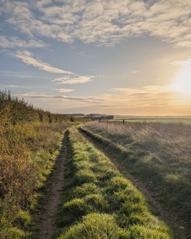 A footpath on the edge of a field stretches off into the distance. A low morning sun is bathing the countryside in a golden yellow light.
