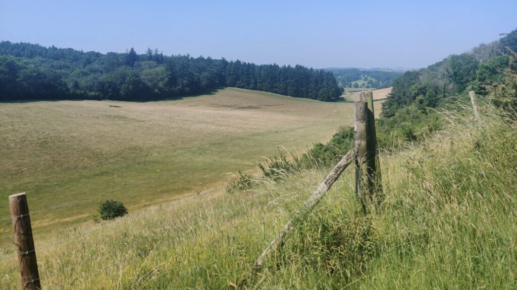 View from a hill through a wide green valley with woodland on the opposite side of the valley.