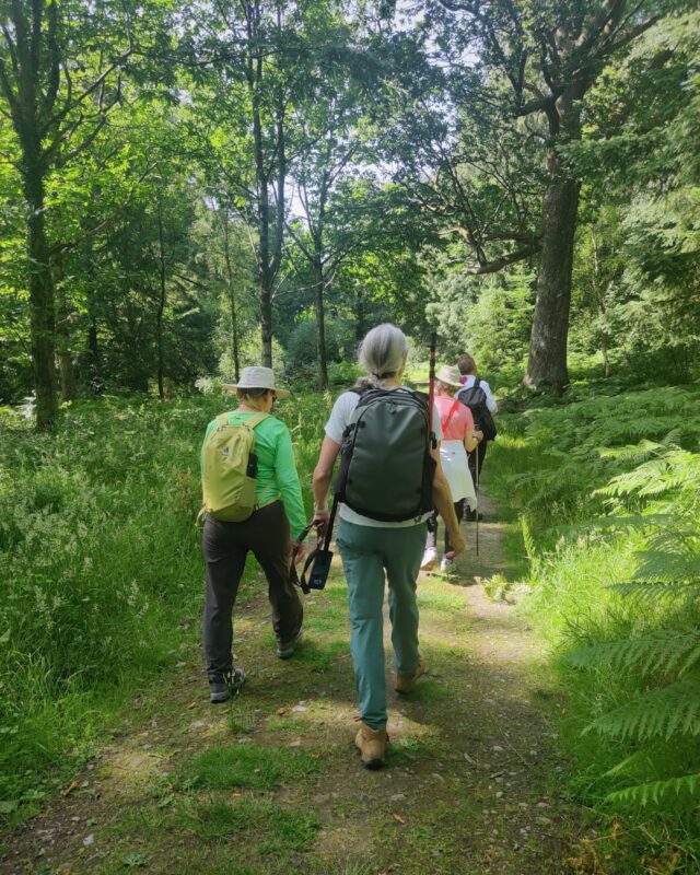 A group of hikers walk along a shady footpath in a woodland