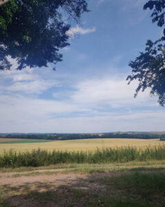 View of golden/green agricultural fields stretching off into the distance under a blue sky with white wispy clouds.