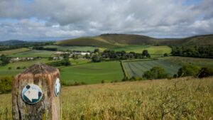Photo of a footpath waymarker with green countryside stretching out in the background