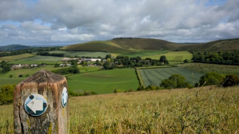 Photo of a footpath waymarker with green countryside stretching out in the background