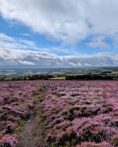 View of a path through purple heather moorland on a bright sunny day. There is a guest testimonial in the bottom left corner: “Exmoor was beautiful. We loved walking on the moors, seeing the coastlines, and the shady paths along the rivers!” Ann and Mark, USA