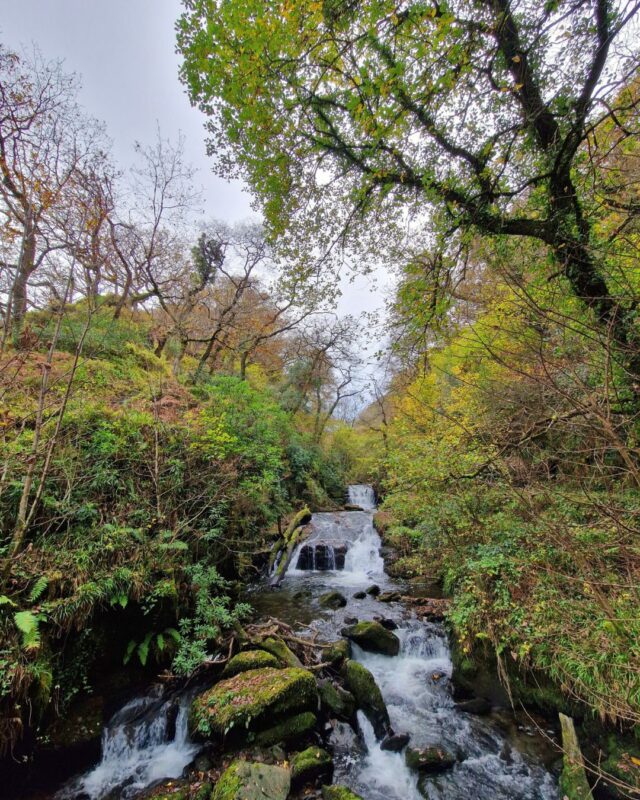 Image of a waterfall in wooded valley. It is autumn and the trees all have gold, yellow and red leaves.