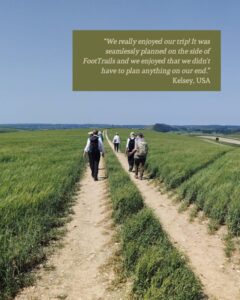 A group of guests walk on a wide footpath through a crop field on a bright sunny day.