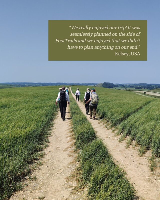 A group of guests walk on a wide footpath through a crop field on a bright sunny day.
