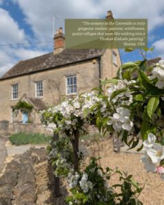 View of a Cotswolds stone cottage. The cottage is slightly out of focus. A stone wall and flowers are in focus in the foreground.