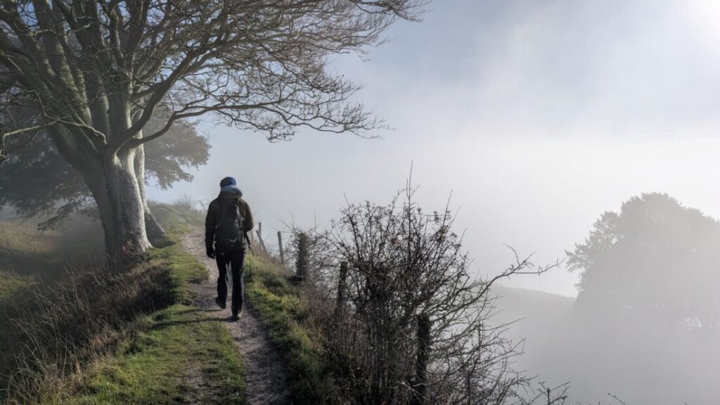 A lone hiker walks along a ridge under a tree surrounded by mist.