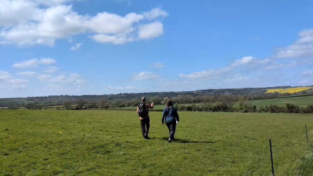Two hikers seen from behind walking across a field and pointing at something in the distance.