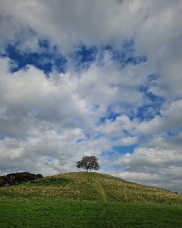 A lone tree stands on top of a hill under a blue sky with white clouds.