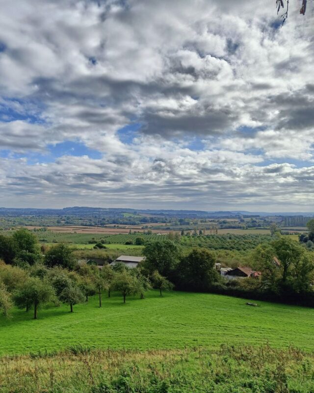 View from a hill over the Somerset Levels with cider orchards and farmland stretching off into the distance.