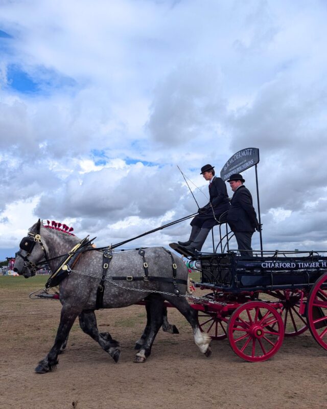 A heavy horse pulls an o9ld fashioned brewery wagon driven by two people in traditional suits and bowler hats