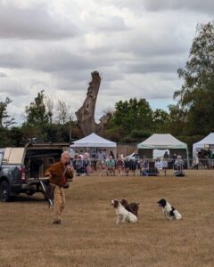 Three spaniels sit in a ring waiting for a command from their handler, who is explaining something to the watching crowd