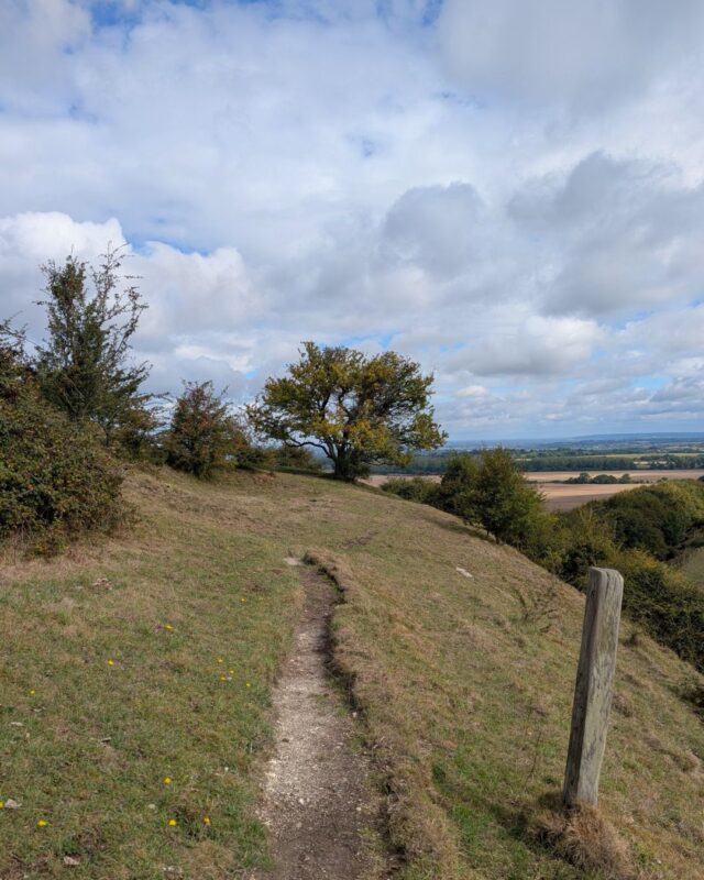 View of a worn chalk path on the side of a hill with a footpath post to the right and trees and shrubs in the distance.