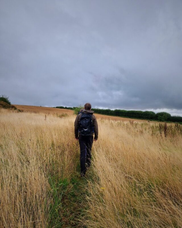 A person is walking through long yellow grass in a field beneath a moody sky.