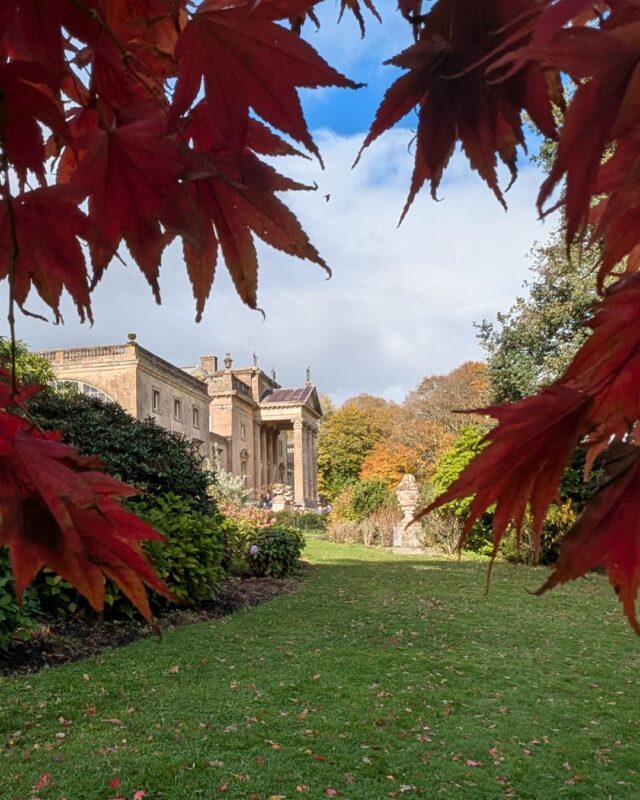 View of a grand country house through bright red autumn leaves