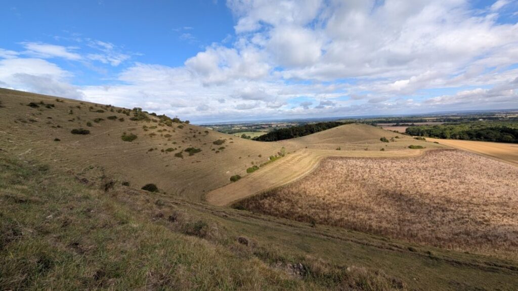 View from a hill looking over brown and gold farm fields. A small hill is in the distance and you can see the shadows from clouds on the fields in the foreground.