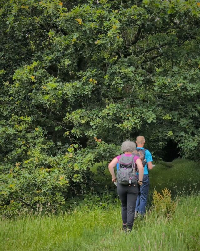 Two hikers with their backs to the camera are walking on a footpath in a field into woodland.