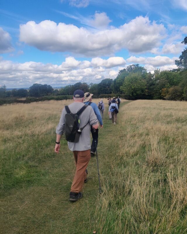 A group of people walking on a footpath through a field of grass under a blue sky with white fluffy clouds
