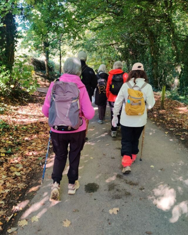 A group of hikers walking away from the camera on a footpath in woodland