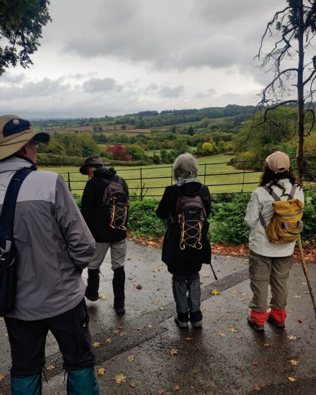 A group of hikers with their backs to the camera are standing and admiring a view over fields and autumnal trees in the Cotswolds