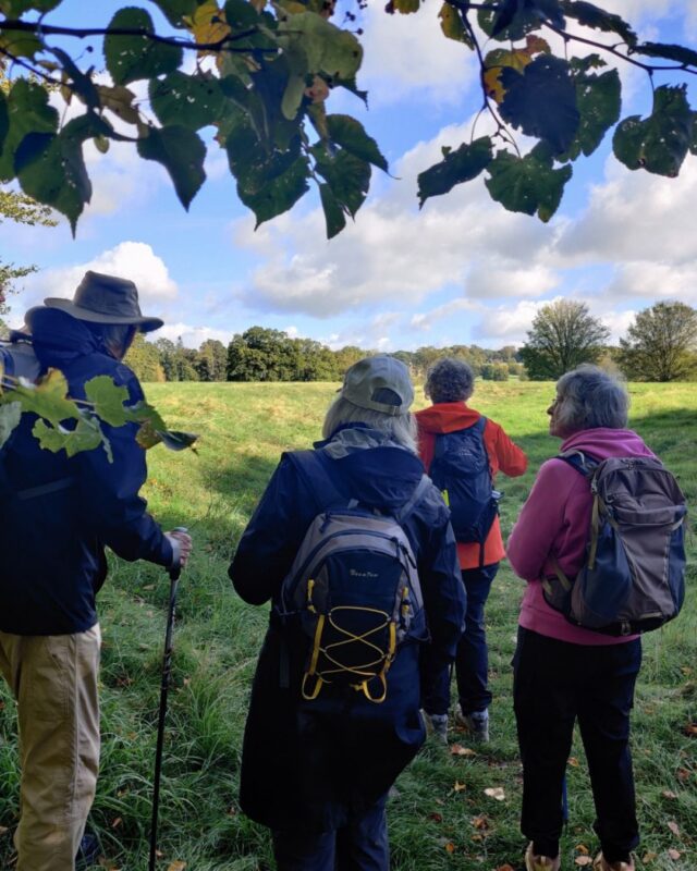 A group of hikers are standing with their backs to the camera looking out a beautiful view