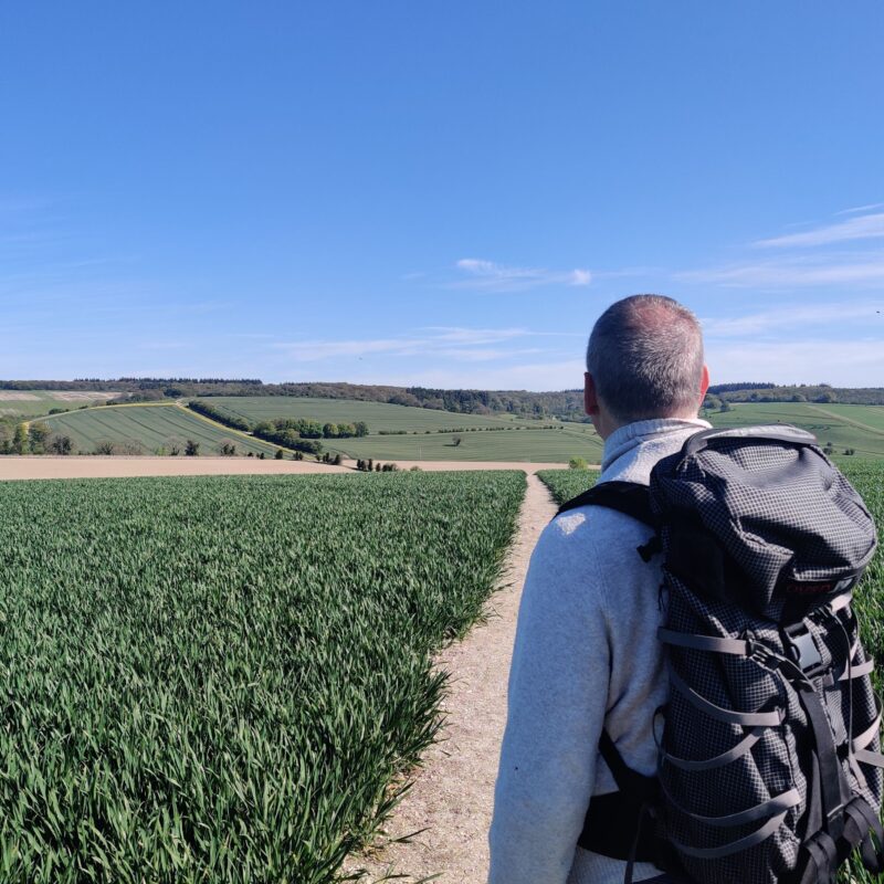 David Howell is standing with his back to the camera looking out over a path through a field of crops