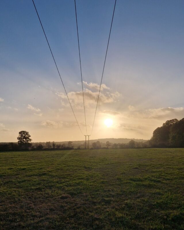 View of a field at sunset in autumn. The sun is low in the sky and three power lines are silhouetted against the dusk sky stretching off into the distance.