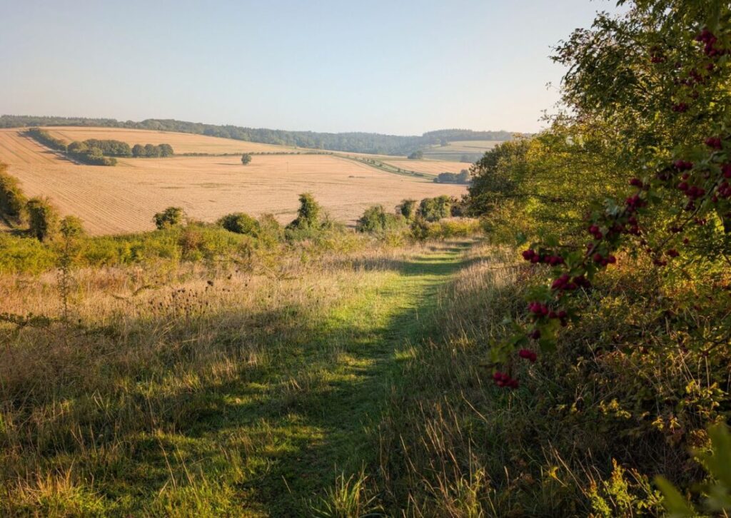 A footpath stretching off downhill through autumnal countryside