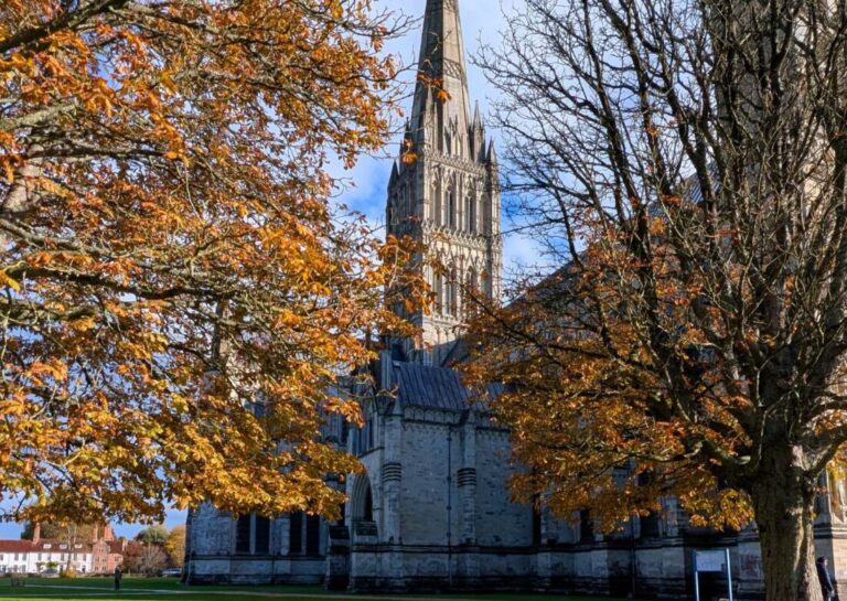 The spire of Salisbury cathedral looms up between red and brown autumn leaves