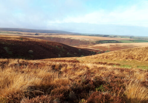 Exmoor moor, hiking with Foot Trails